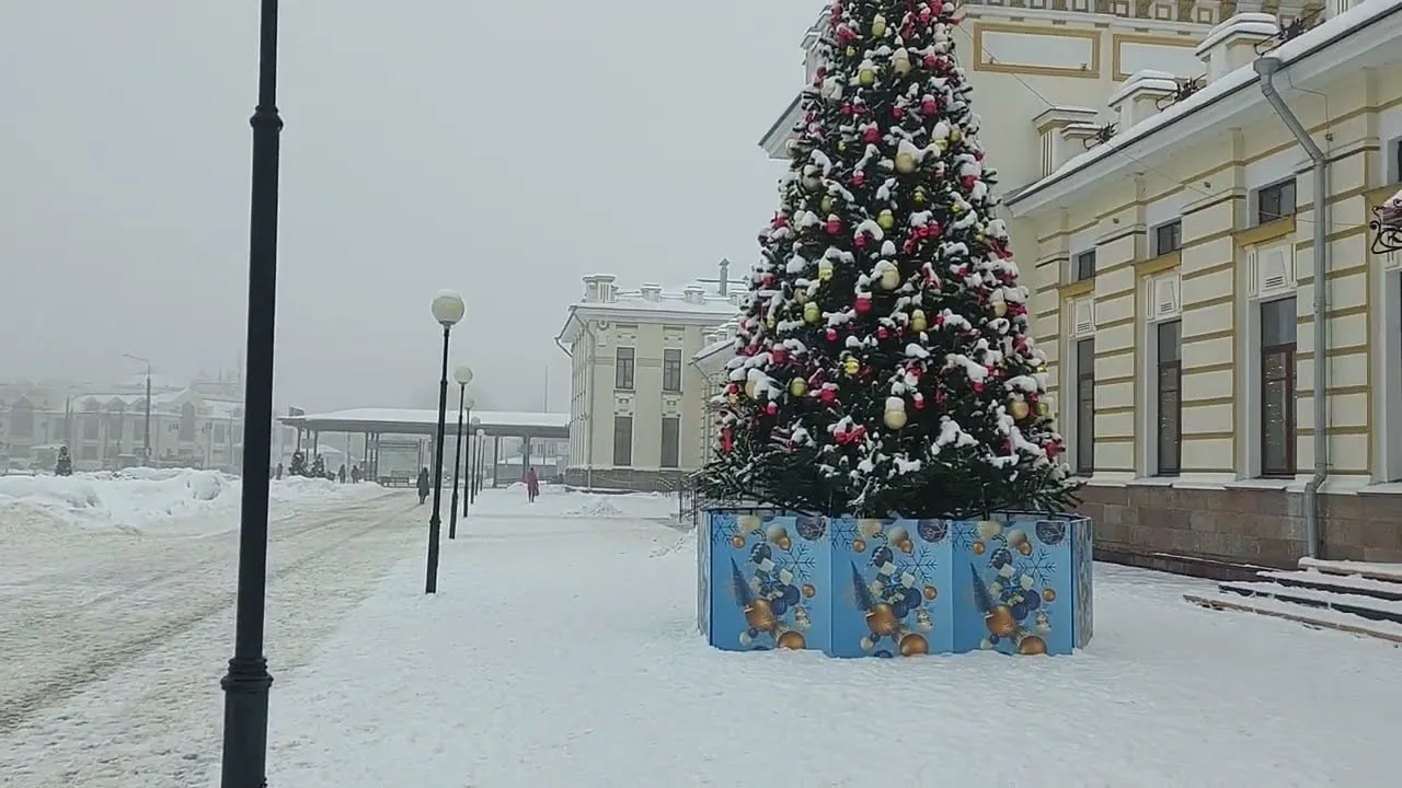 В Рыбинске ищут ели для украшения городских пространств к праздникам. Дорожно-эксплуата...