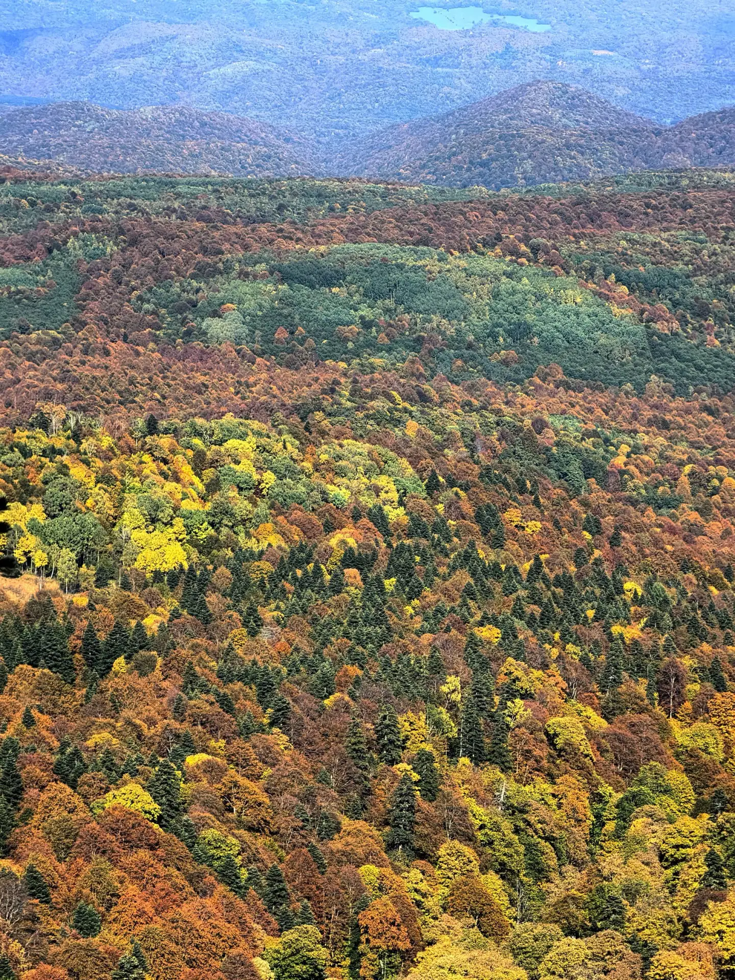 Краски осенней Адыгеи.