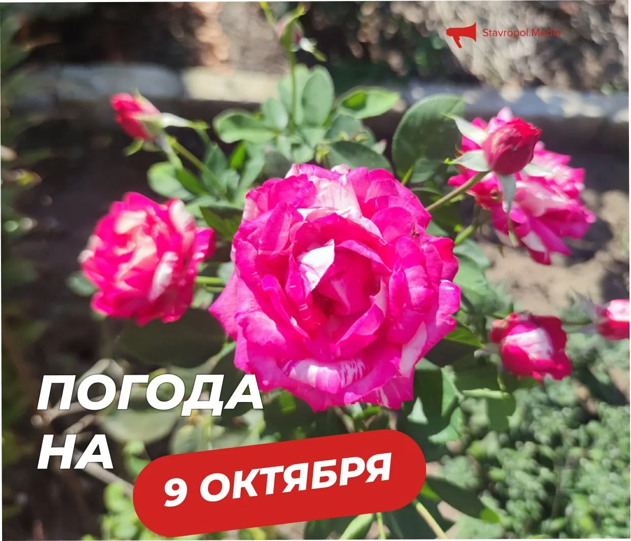 ПОГОДА на сегодня в Ставрополе: