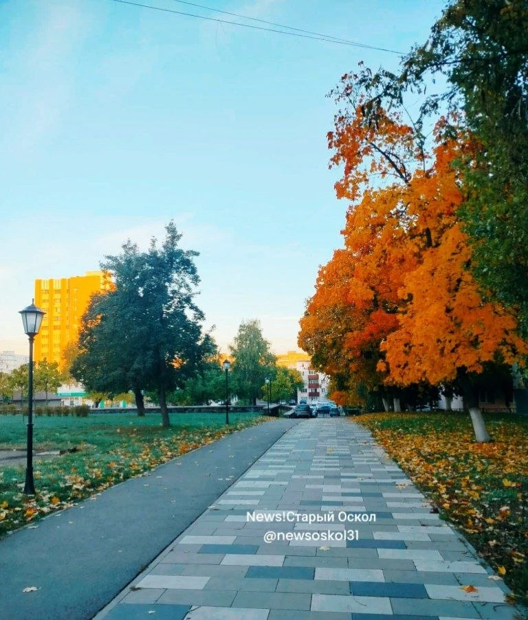 🍁Доброе утро, Старый Оскол! 🧡