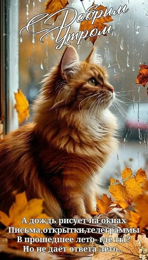 👉 ОТКРЫТКИ 💗 С добрым утром!