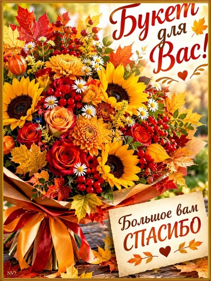 Красивые и добрые