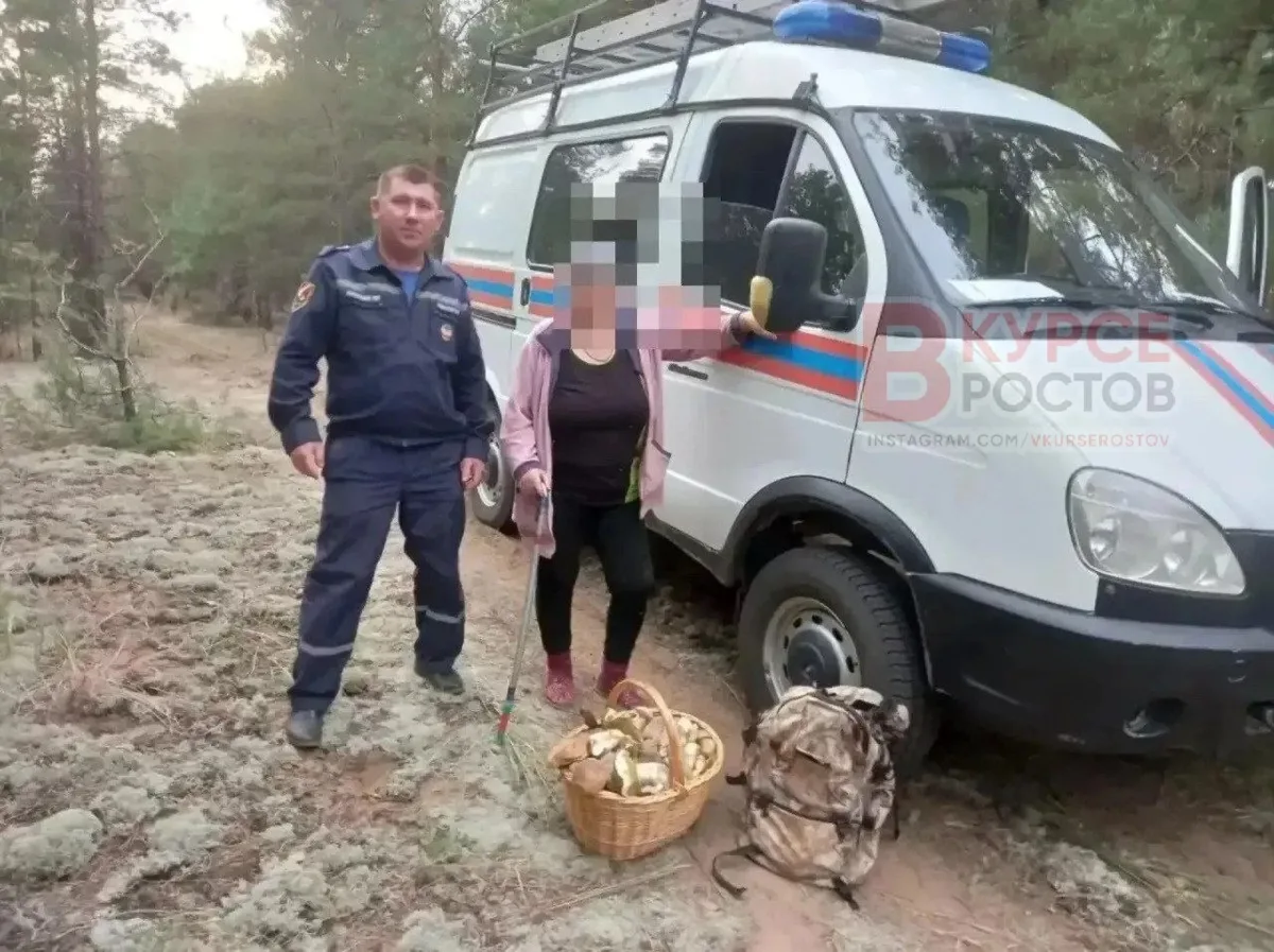 Заблудившаяся в лесу грибница залезла на вышку, чтобы вызвать спасателей