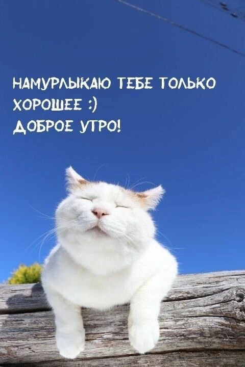 Выходныееее 🎉🥰