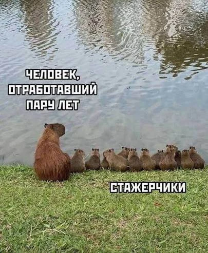 Платить зарплату стажерам планируют в России
