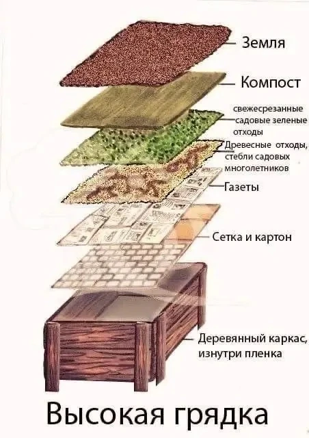 Сейчас самое время закладывать ✅