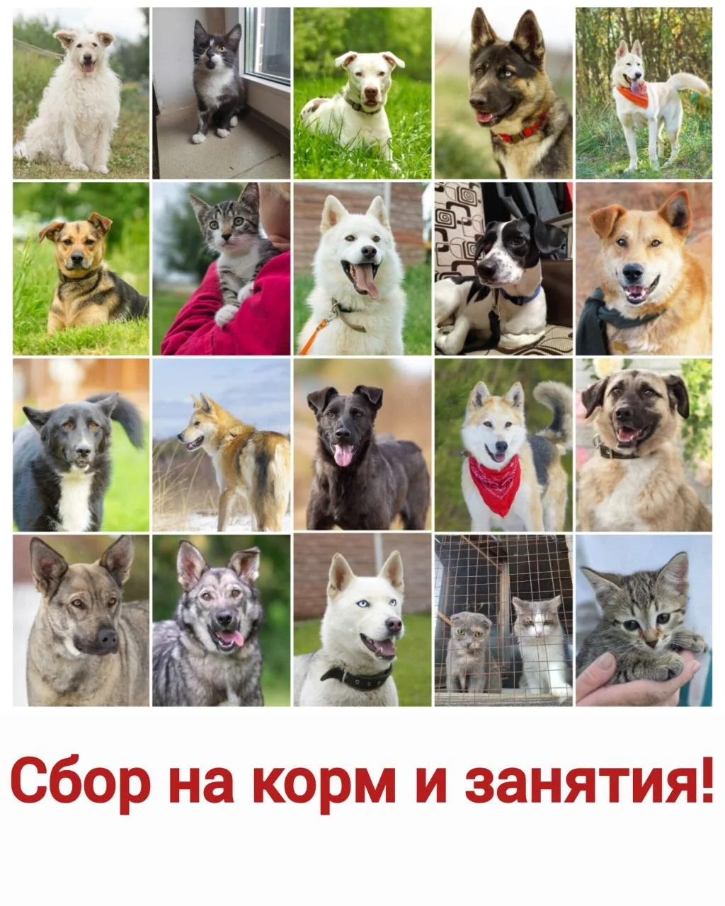 74 000 рублей.