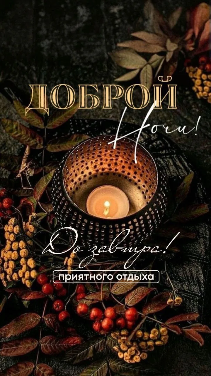 #спокойнойночи