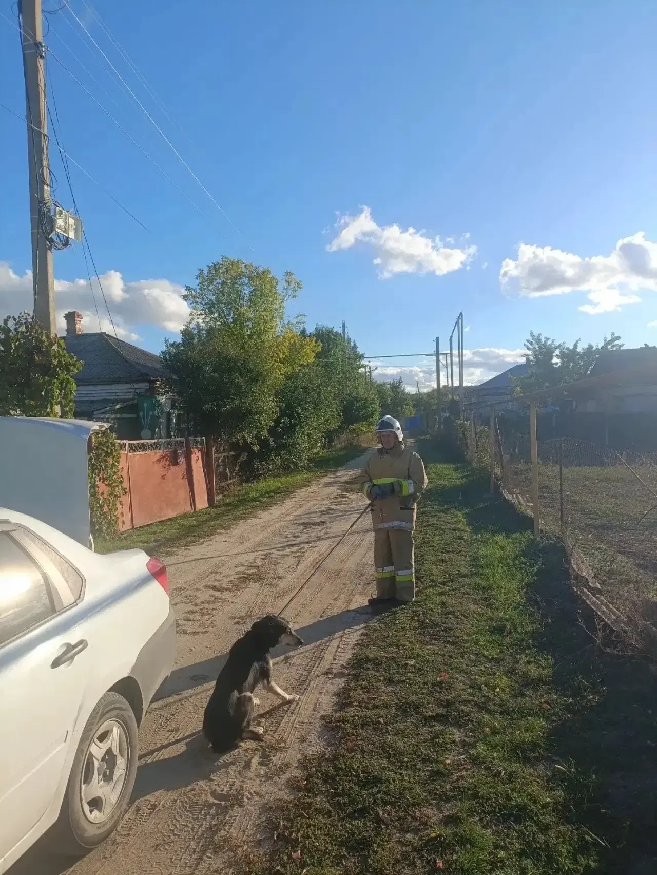 🐕В Шолоховском районе спасатели помогли справиться с агрессивной собакой, забежавшей н...