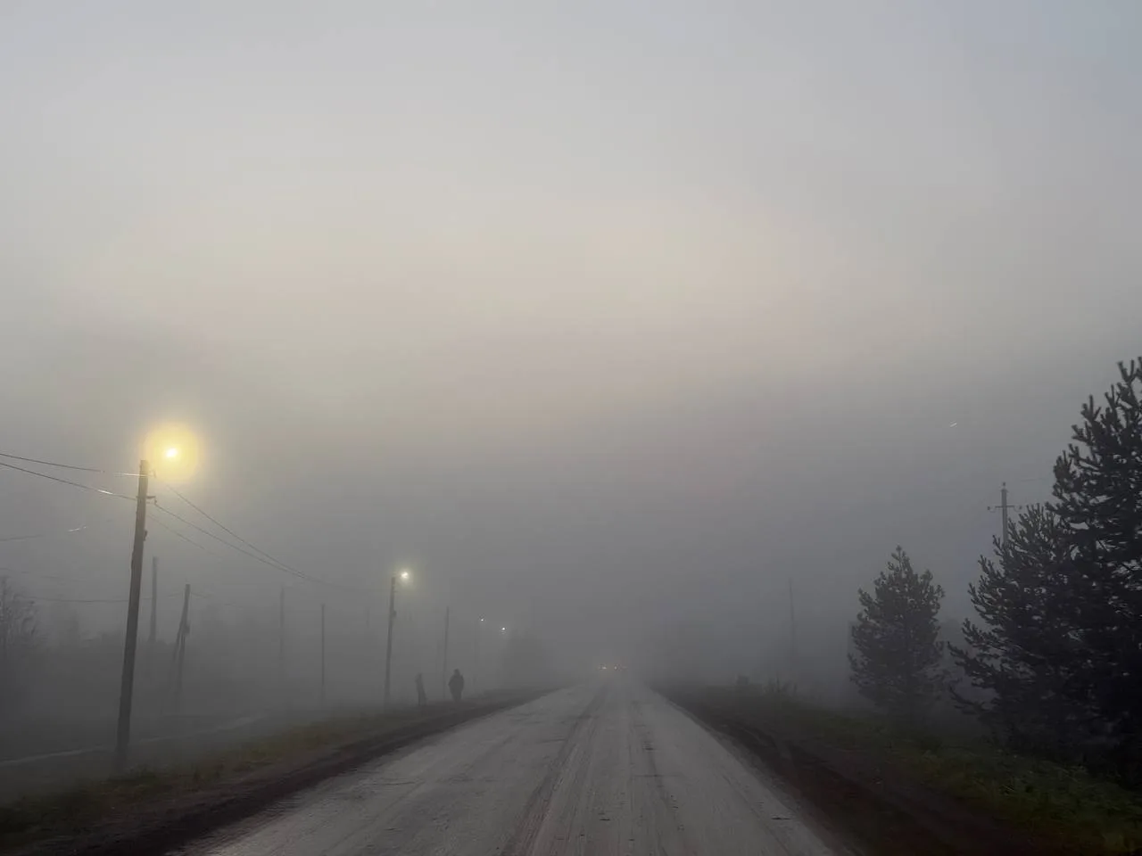 🍂 Доброе утро, Сива!