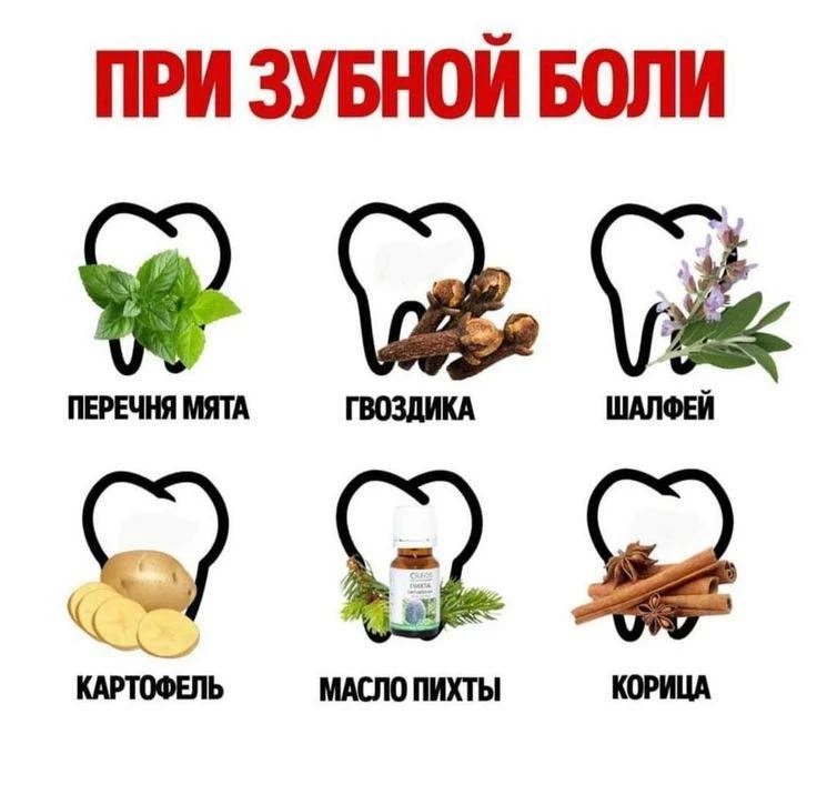 Изображение 1 к публикации «Подорожник | Здоровье»