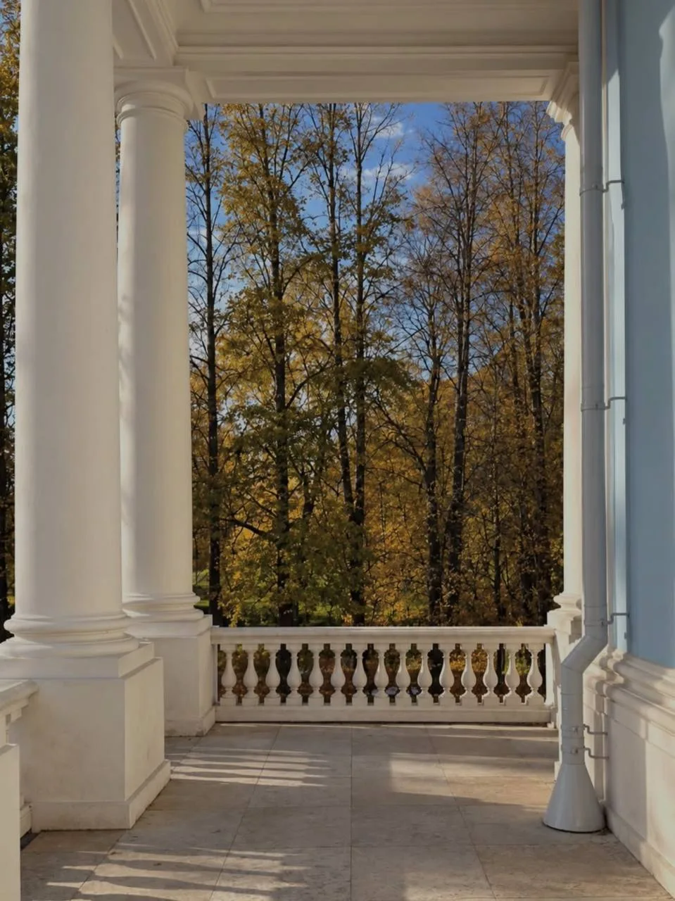 🍁 Золотая осень в Ораниенбауме