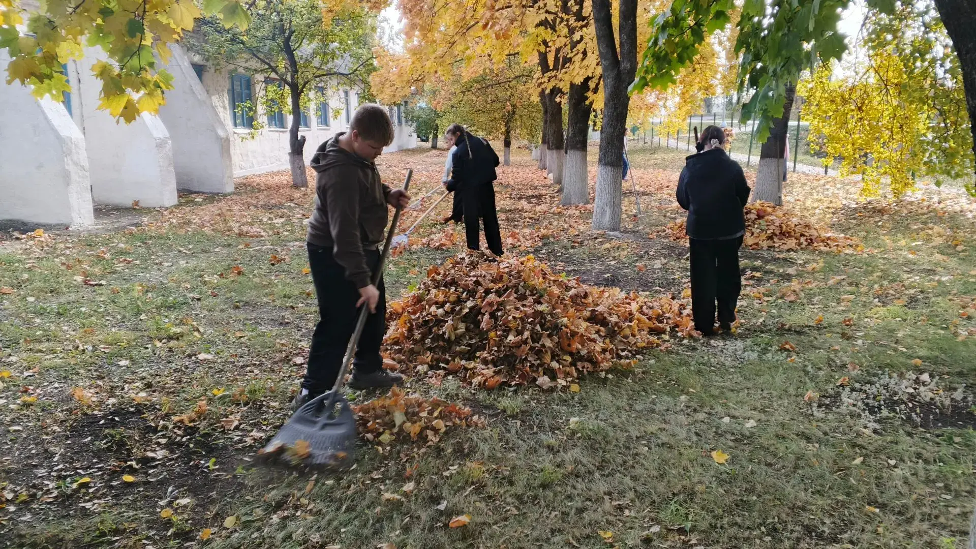 В рамках осенней уборки школьники приняли участие в акции "Чистый двор". Такие мероприя...