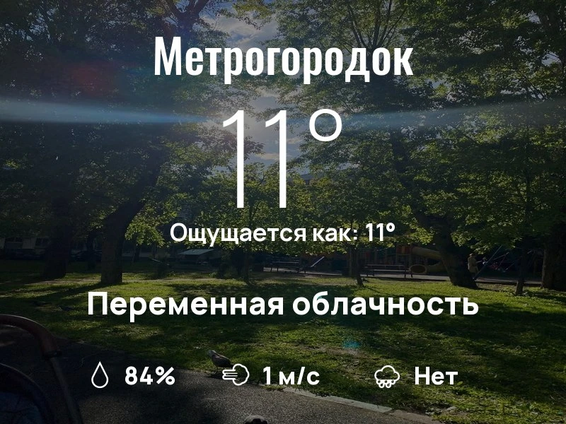 Что с погодой в Метрогородке?