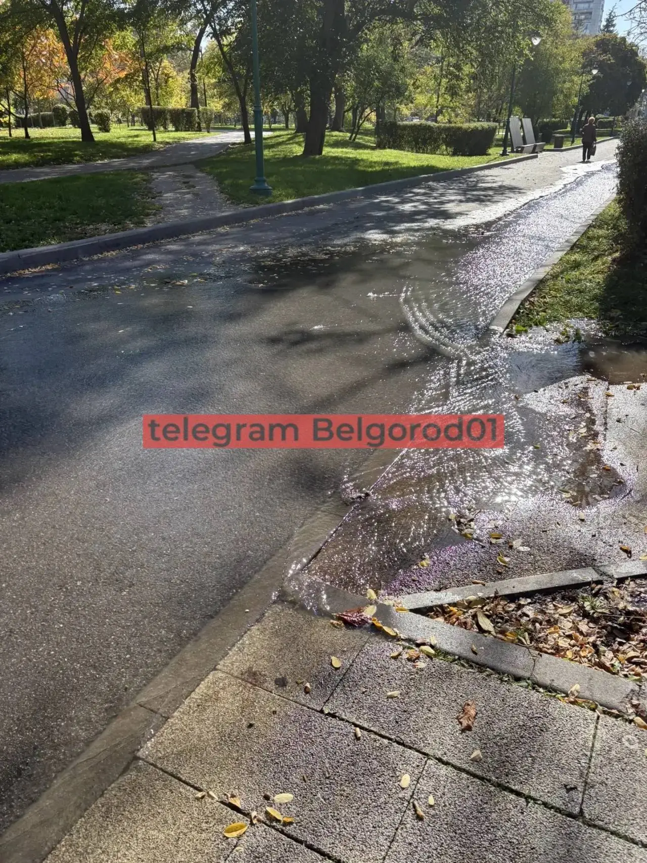 Читатели пожаловались на зловонный ручей в парке Ленина