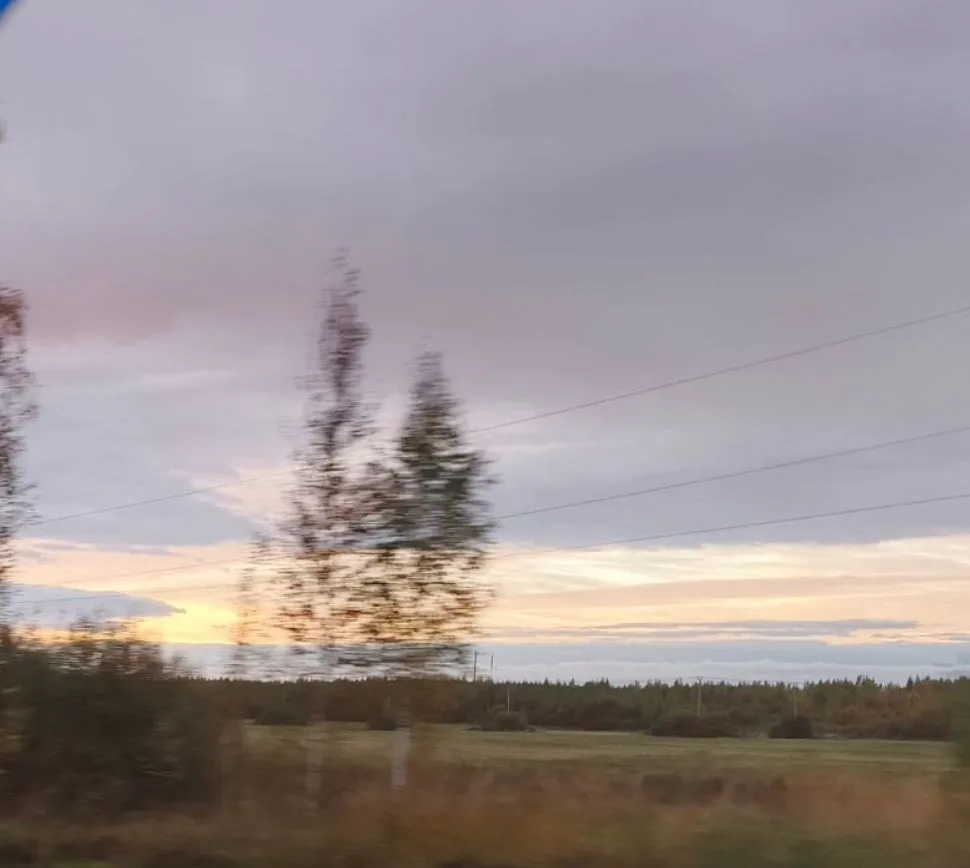 Желаю просто хорошего вечера.