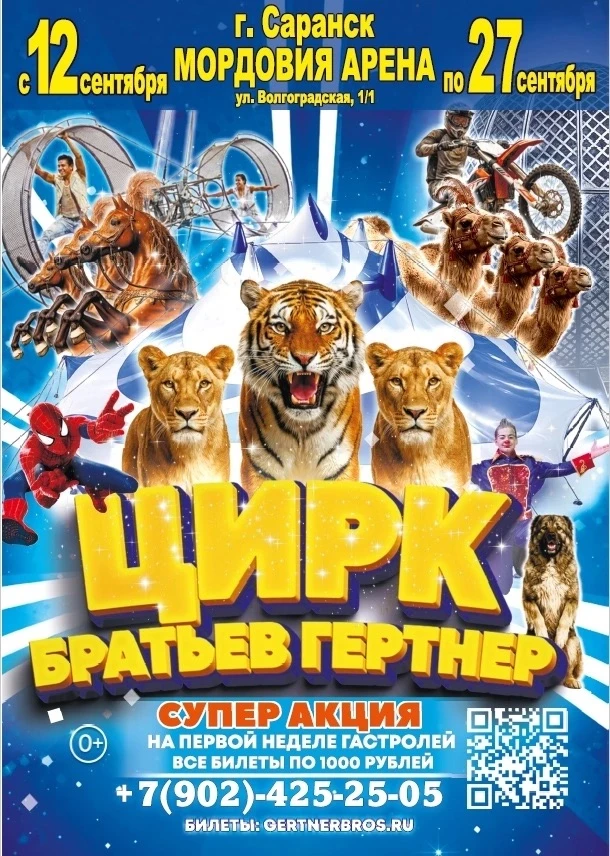 ЦИРК! 🎪 ЦИРК! 🤡 ЦИРК!🎪