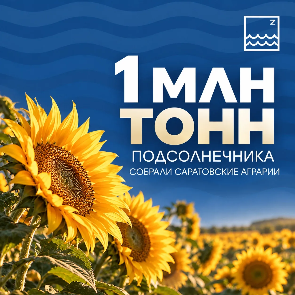 🌻 #ЦИФРАДНЯ
