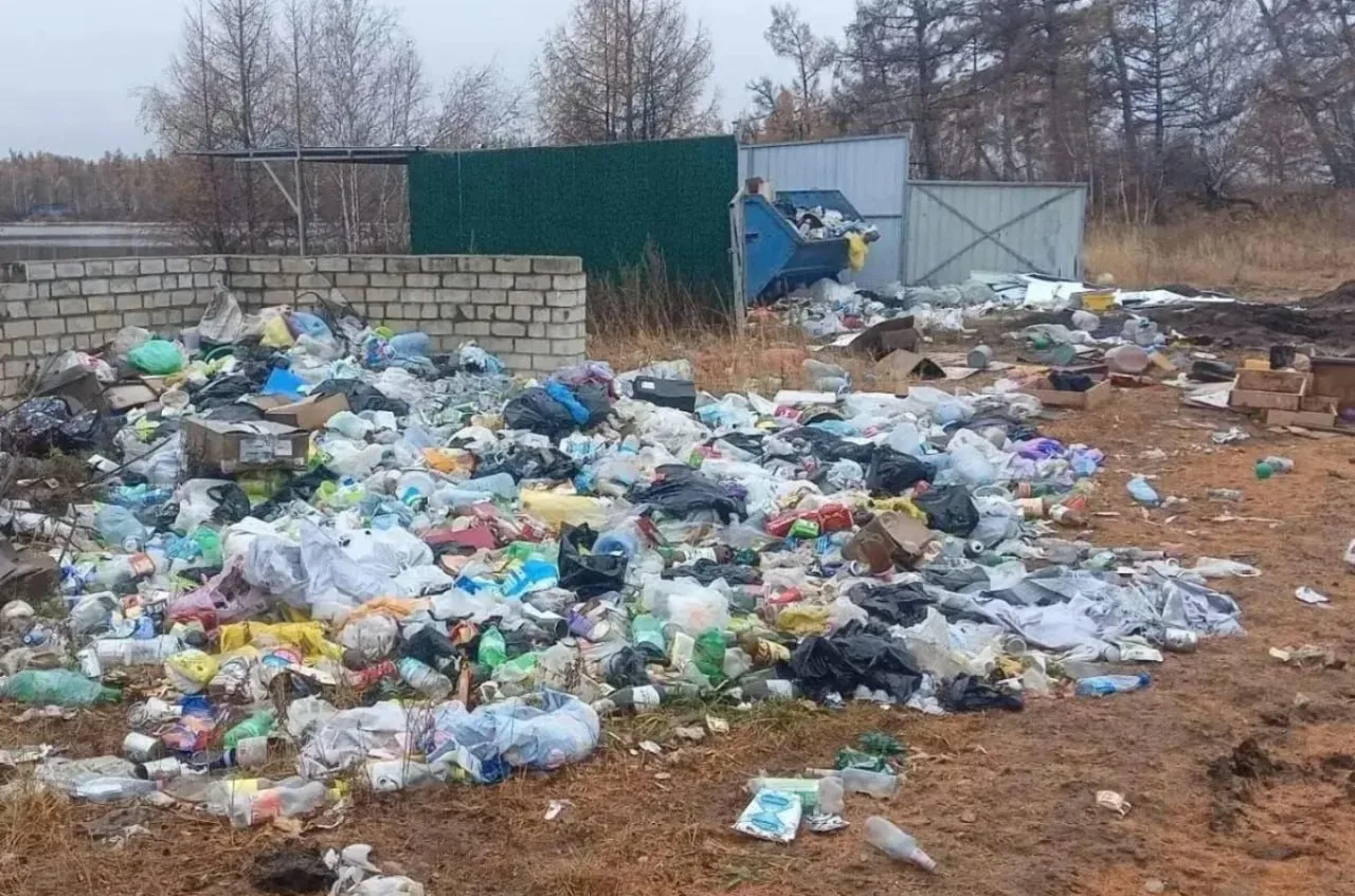 Региональный эконадзор выявил нарушения на озерах Арахлей и Болван в Читинском округе.