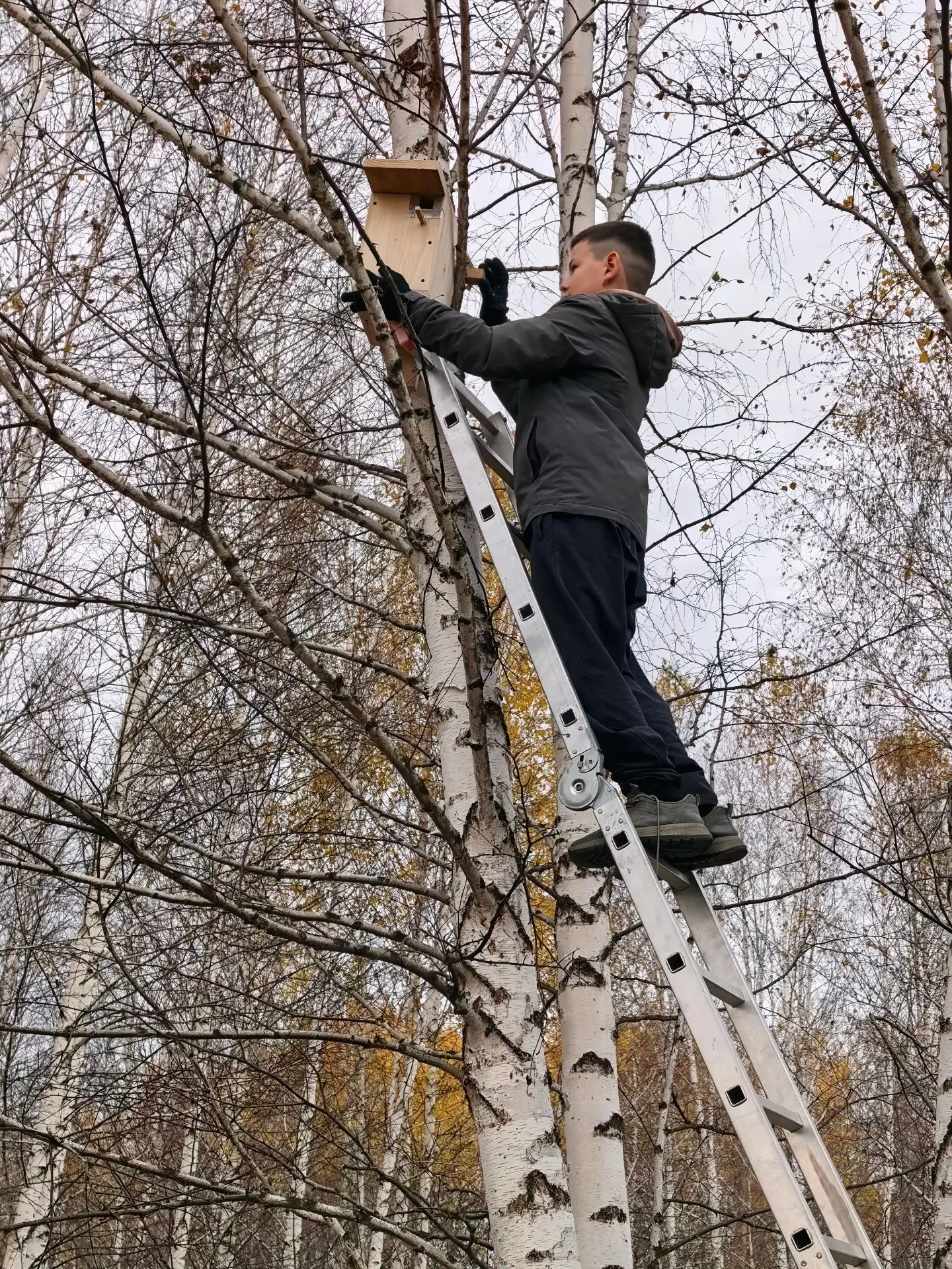 На озере Ельничном в Кытмановском районе развесили синичники