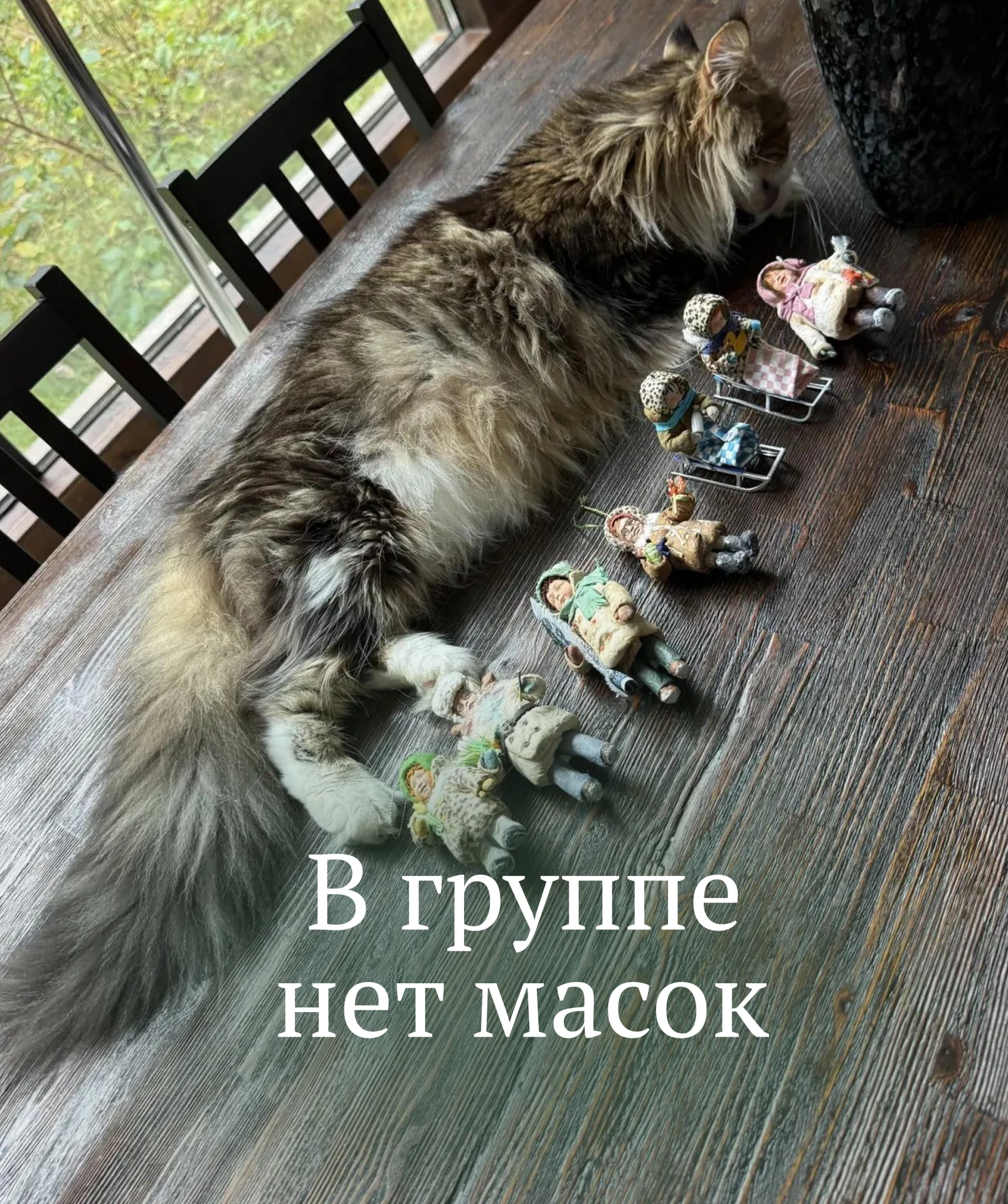 В ГРУППЕ НЕТ МАСОК