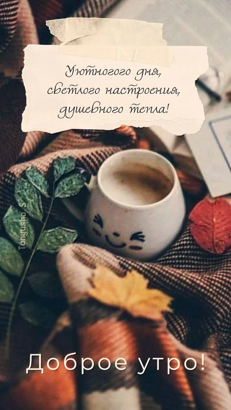 💞ЭСТЕТИЧНЫЕ ОТКРЫТКИ💞