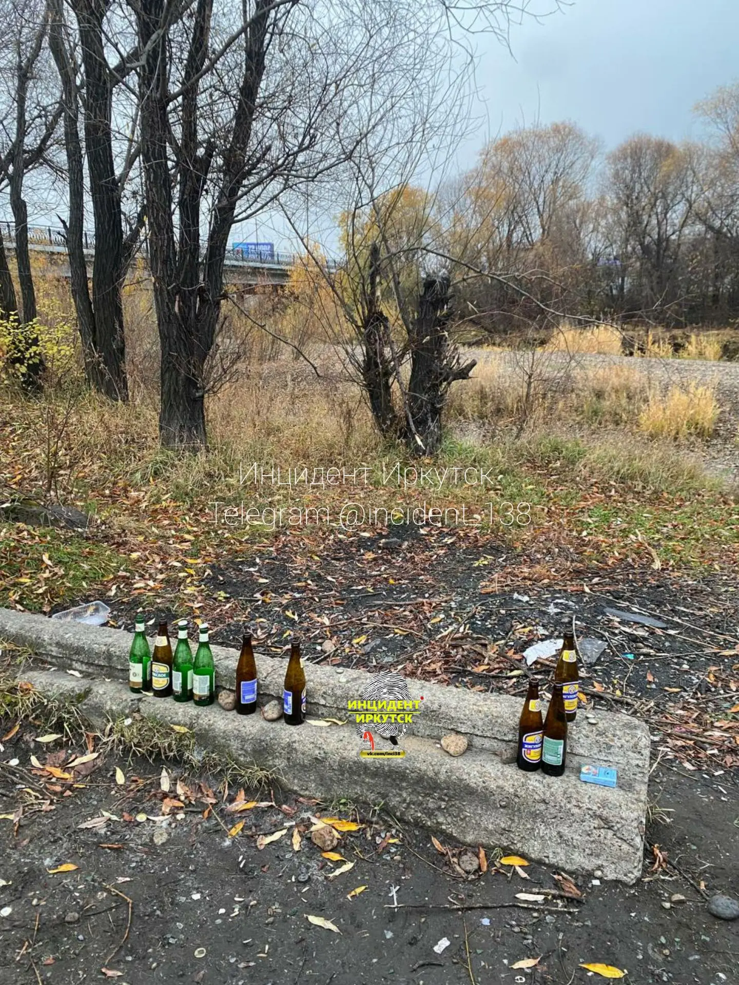 Субботнее утро на Ушаковке: петух на самовыгуле и утренний пейзаж.