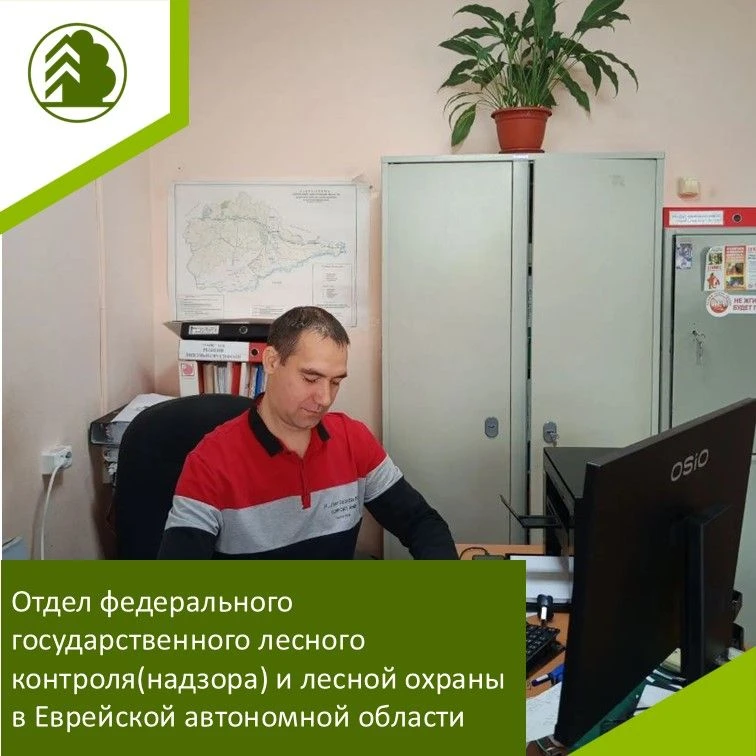 📜Отдел федерального государственного лесного контроля (надзора) и лесной охраны в Евре...