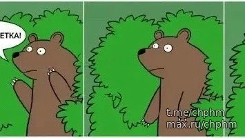 Югорчанам советуют отпугивать медведей матом😅
