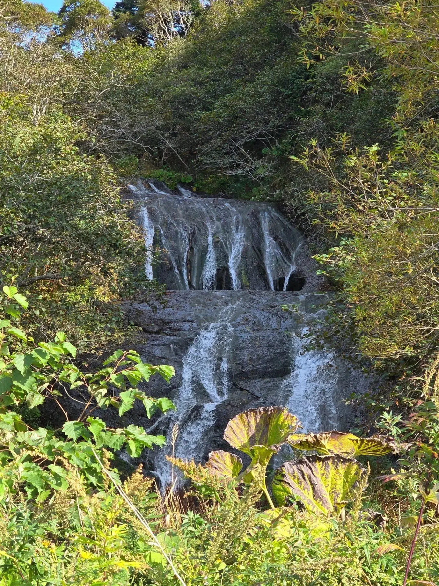 💦Осенние "Тюринские водопады" на Кунашире