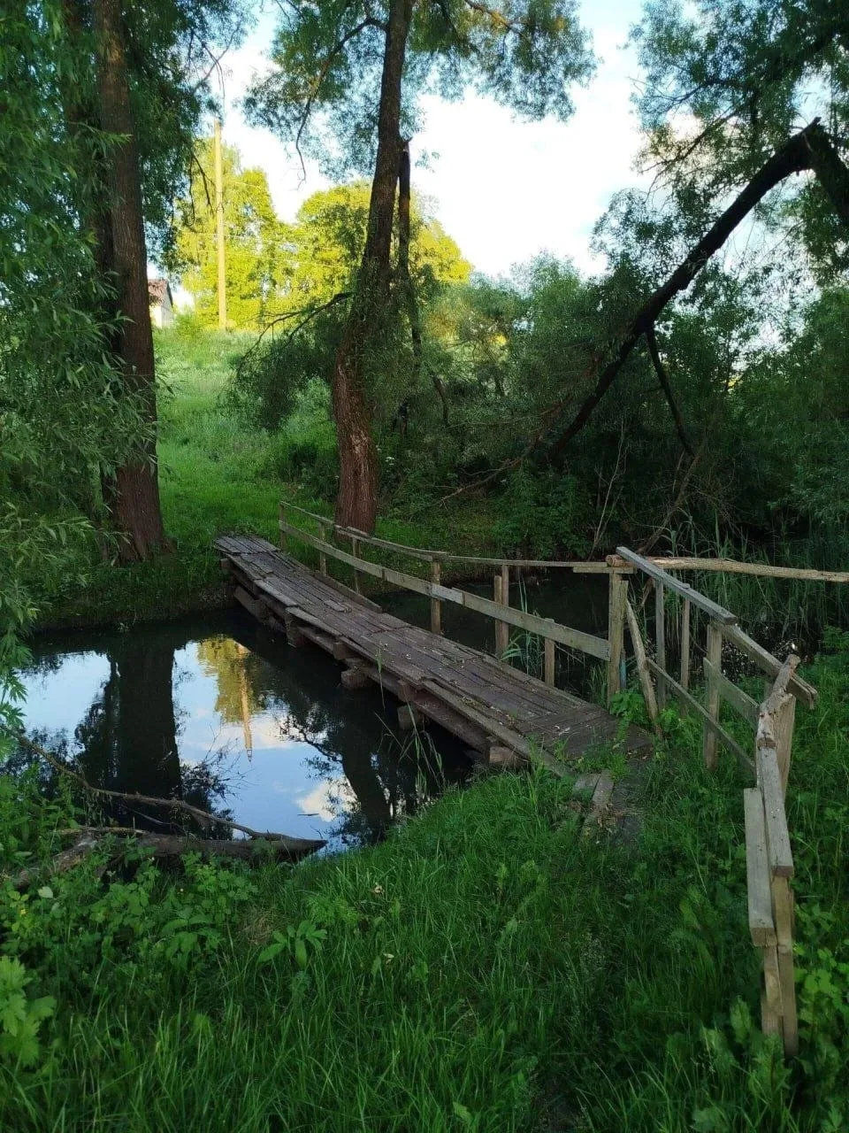Деревня Стаево