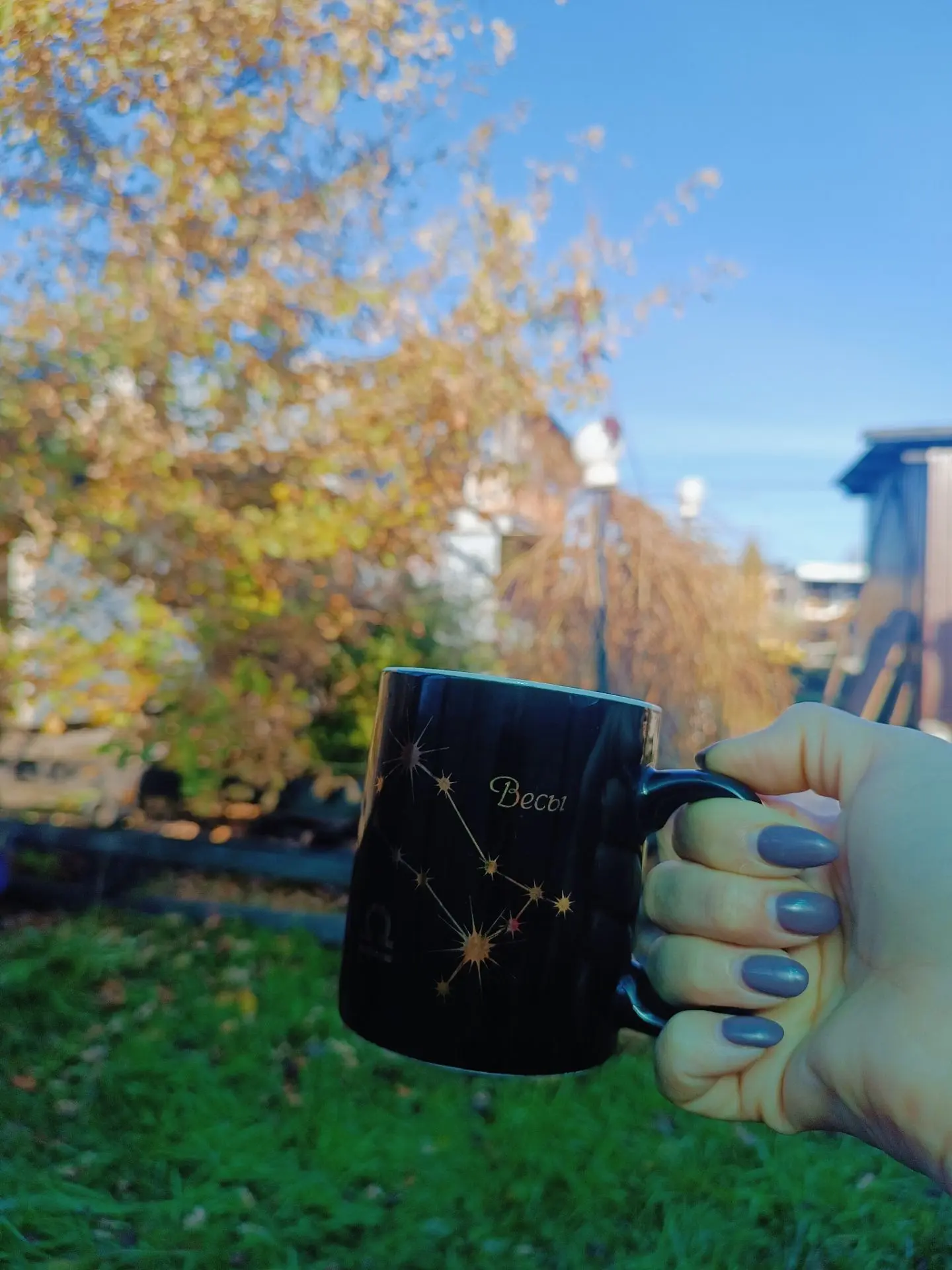 Доброе утро 🍂