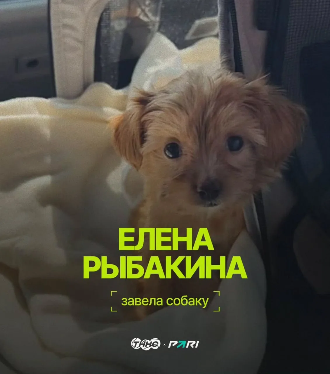 😁 Новость дня?