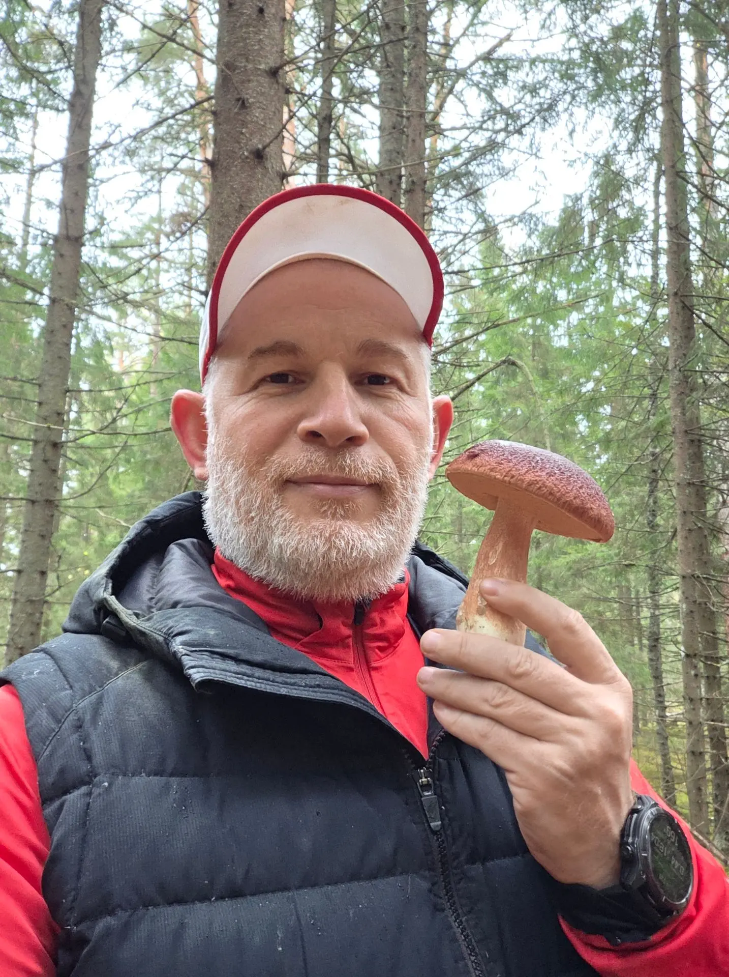 150 км до лесной магии!🌲🌳🍁