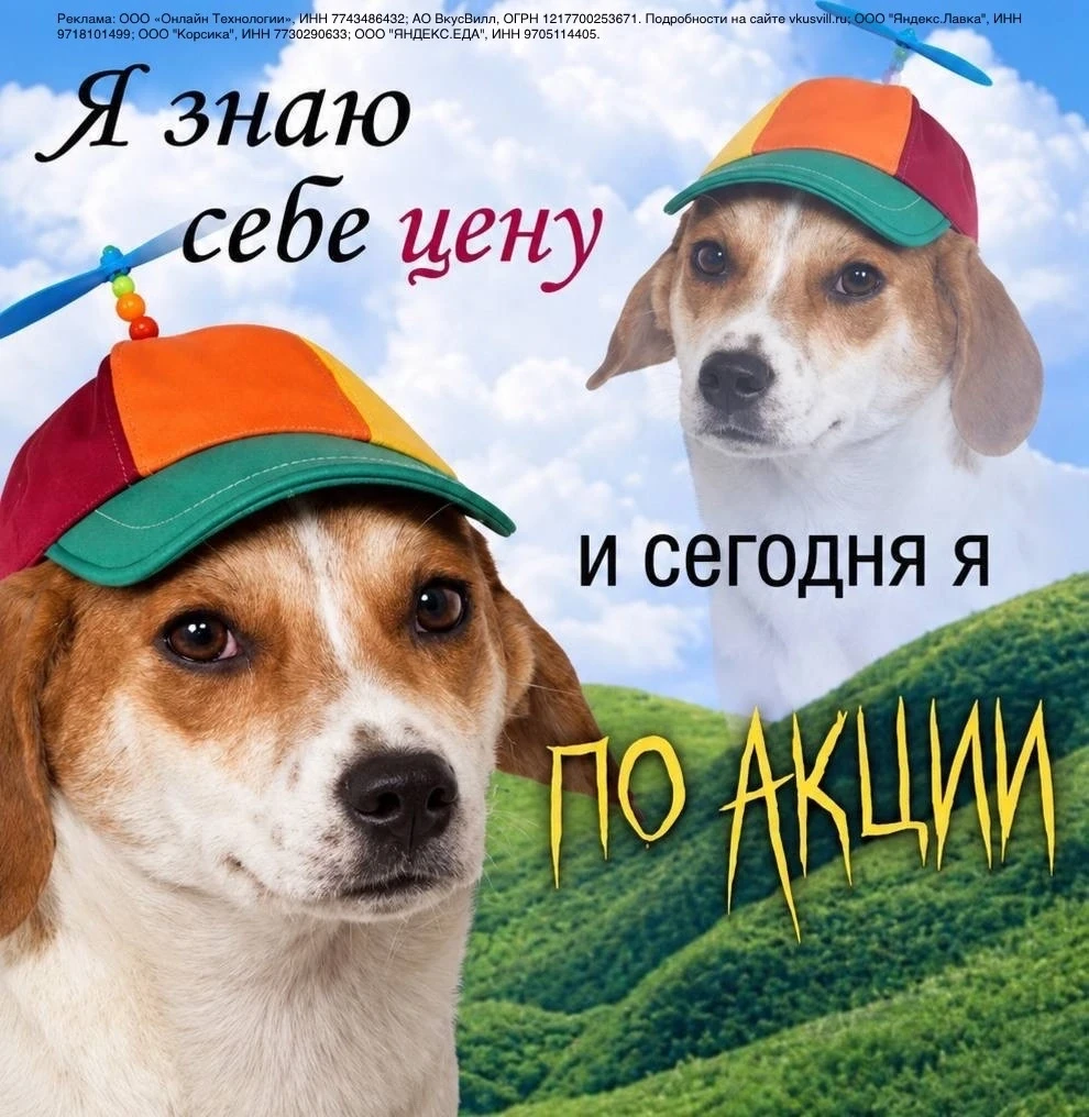 ПОДБОРКА ДОСТАВОК готовой еды ⤵️