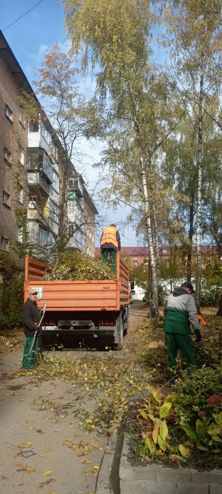 🍂 Осенняя уборка продолжается