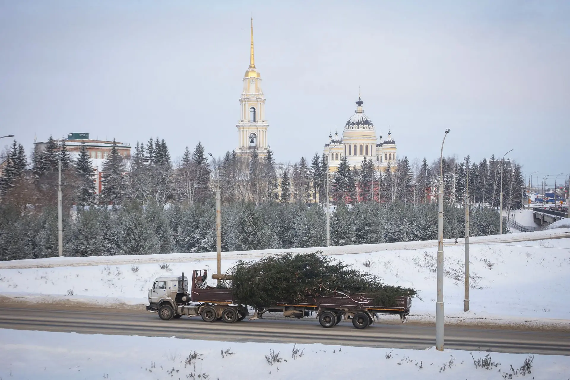 МБУ «ДЭС»  запускает предновогоднюю  акцию «Елка в дар»