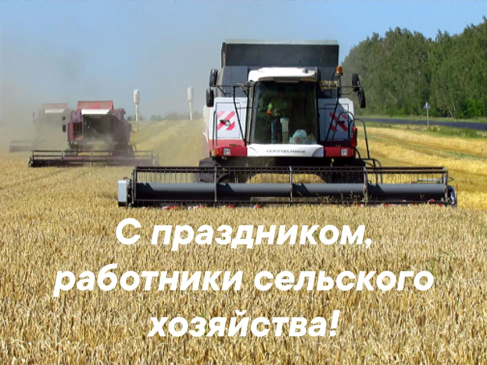 📅 Сегодня - День работника сельского хозяйства и перерабатывающей промышленности.
