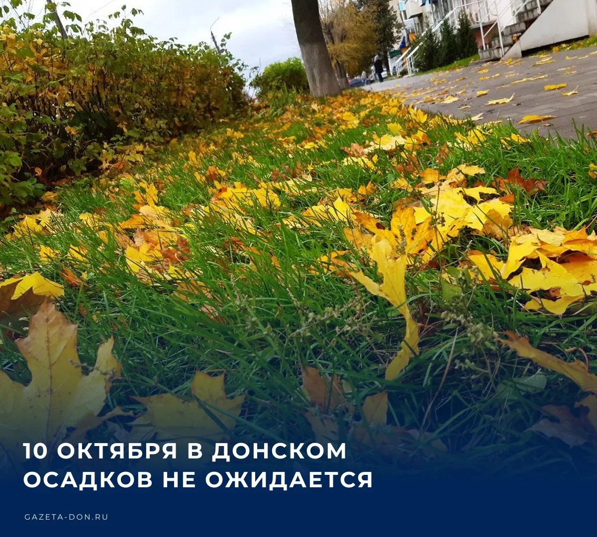 ☁️ Завтра днем погода в Донском будет с переменчивой облачностью, без осадков. Температ...