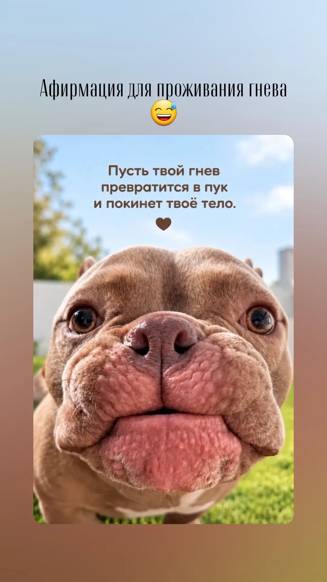 Хорошего и позитивного вам начала новой недели❤️