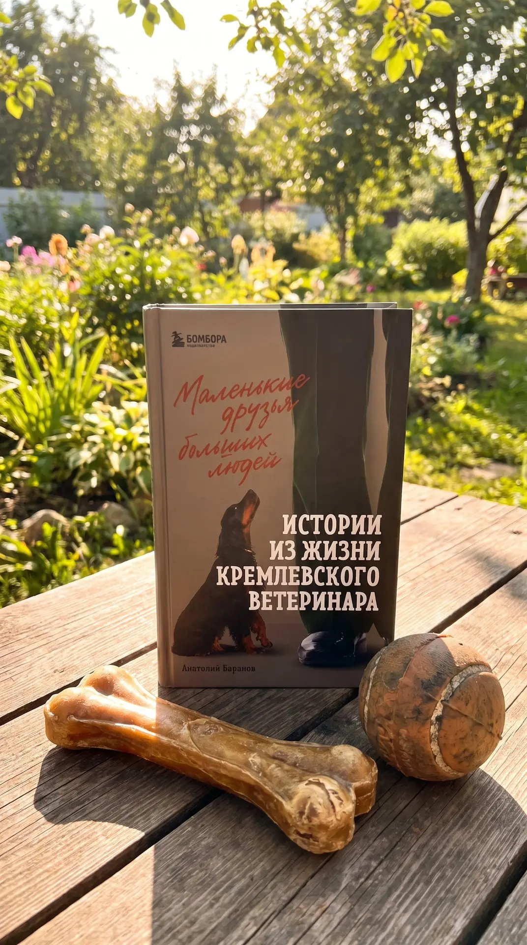 Таксе Варе сегодня исполнилось 11 лет 🥹