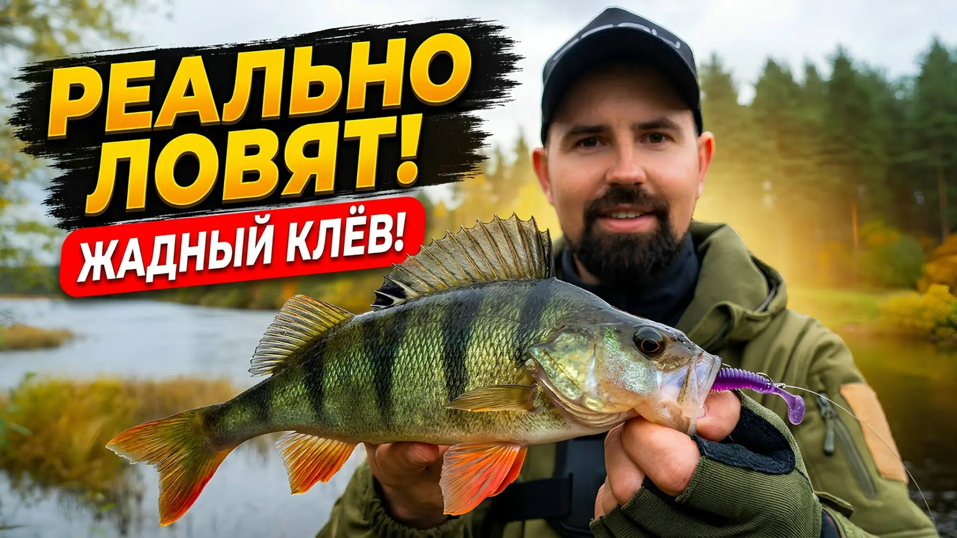 Окунь жадно клюет! Тест приманок которые реально ловят!