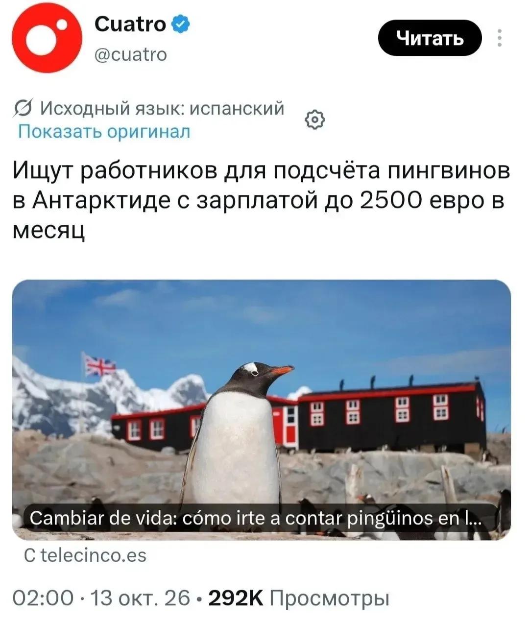 В Антарктиде открыта вакансия наблюдателя за пингвинами. Оплата — примерно 230 000 рубл...