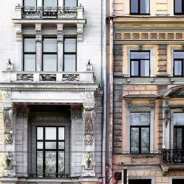 Где в Петербурге спрятались 546 гербов? 🔍