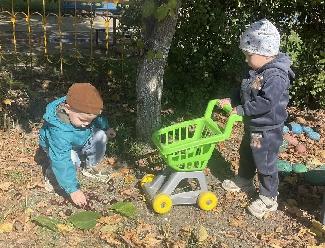 Сегодня мы вместе с детьми провели прогулку, во время которой собирали природный матери...
