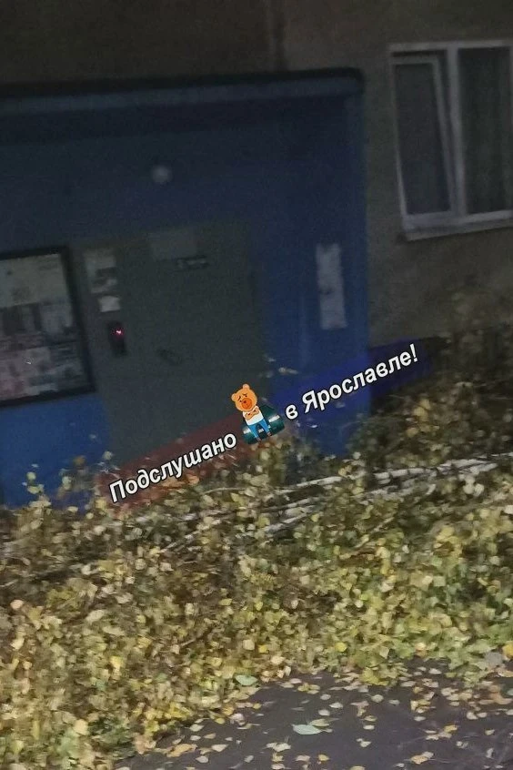 🌳 На улице Туманова упало дерево