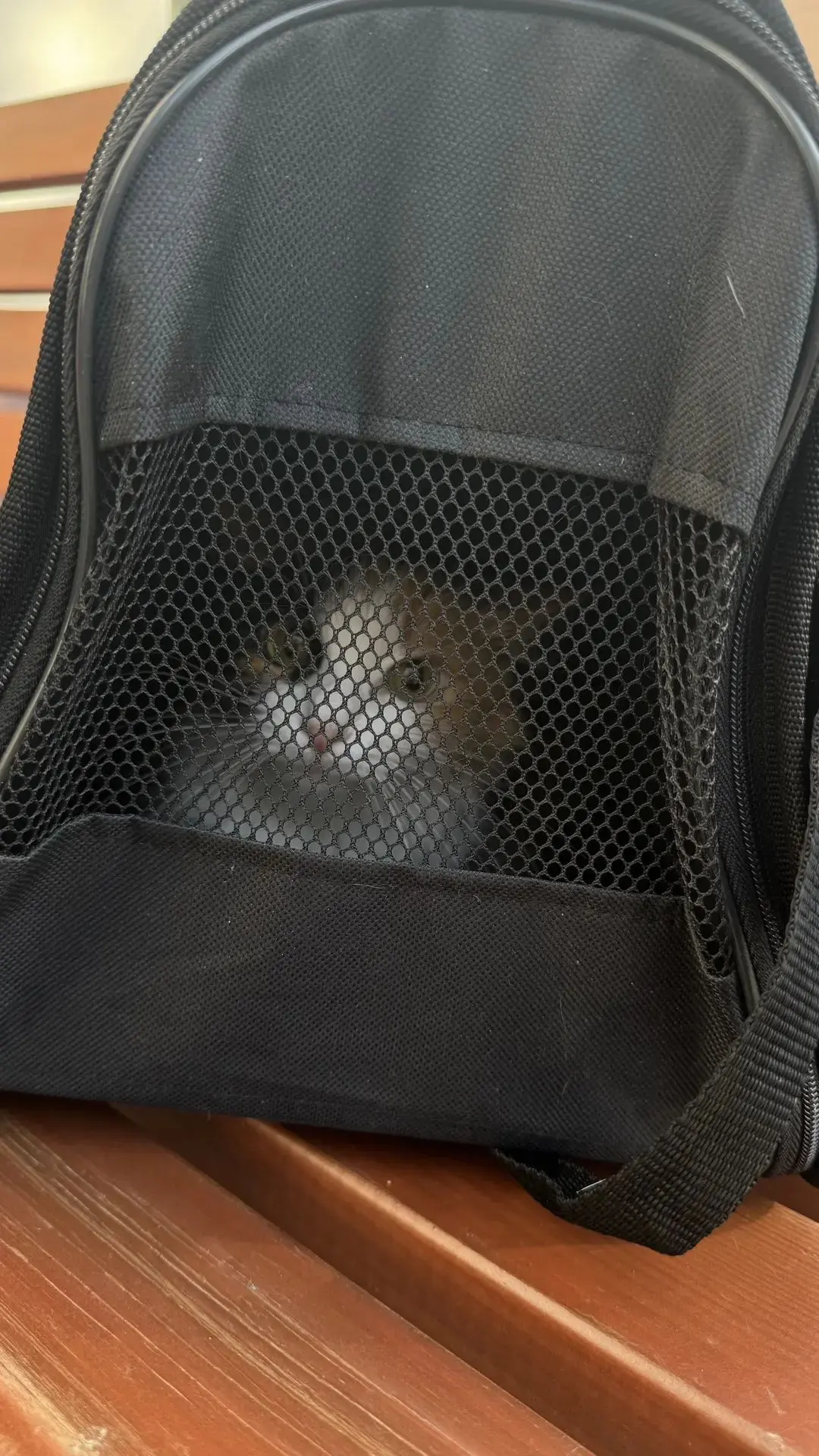 Спасли кошку