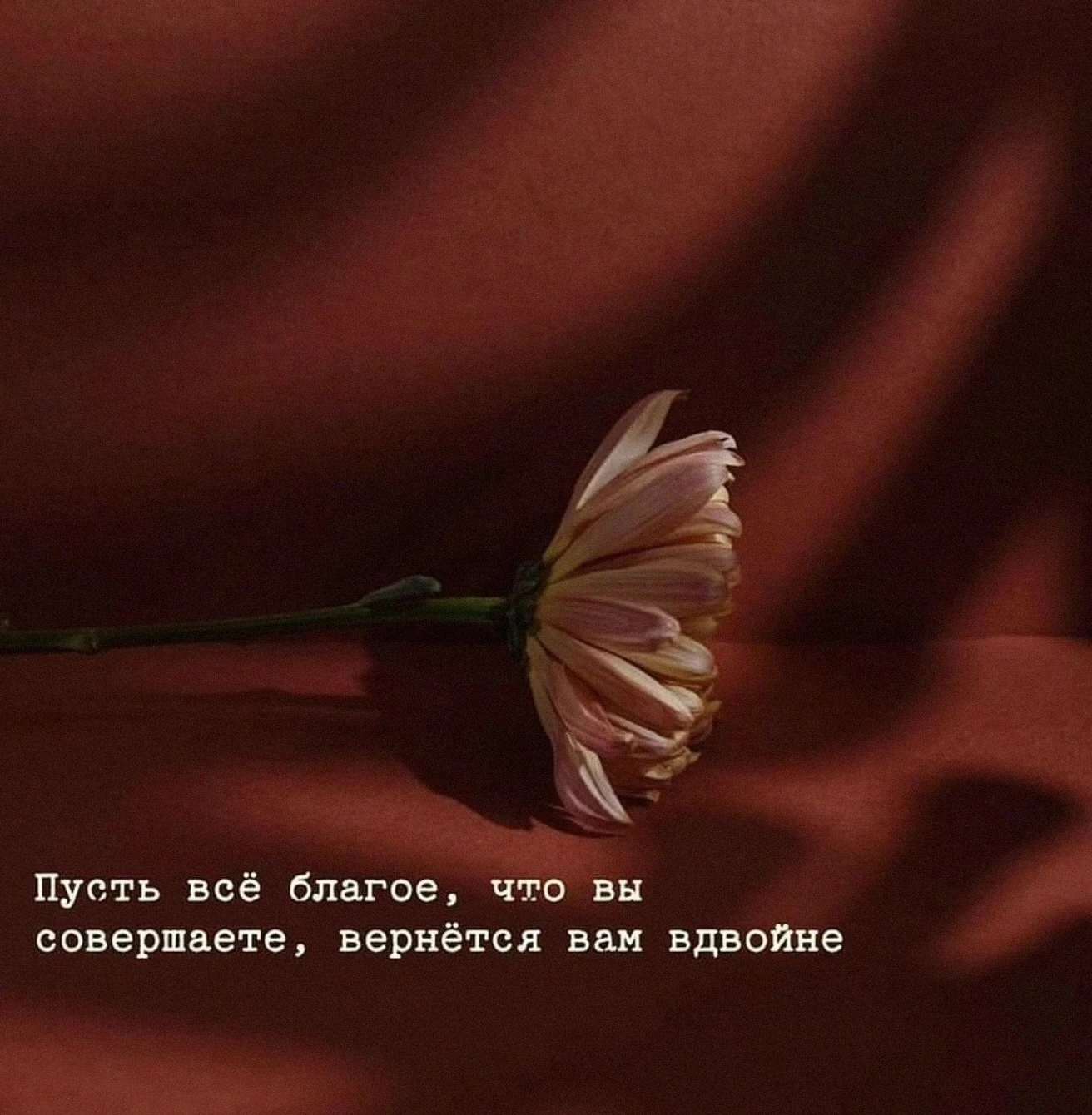 Пост - отчёт