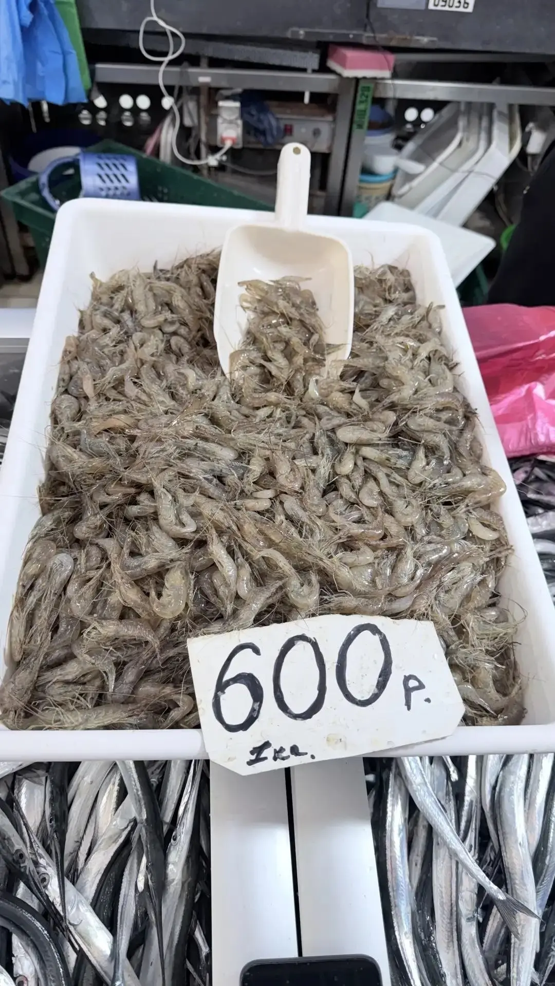 🐠 Почём рыбка? Обзор цен в рыбном корпусе Керчи