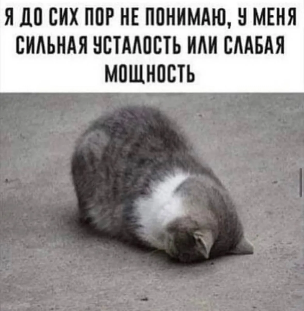 🎃 Весело у нас 🧨